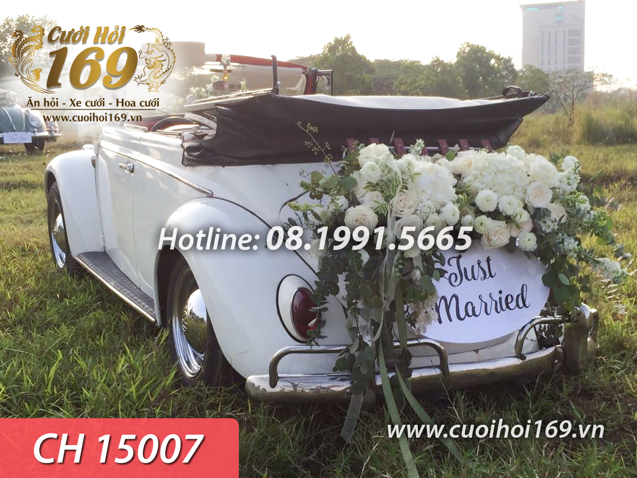 CH 15007 copy