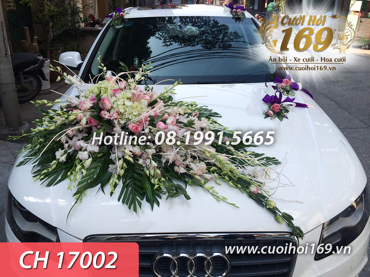 CH 17002 copy