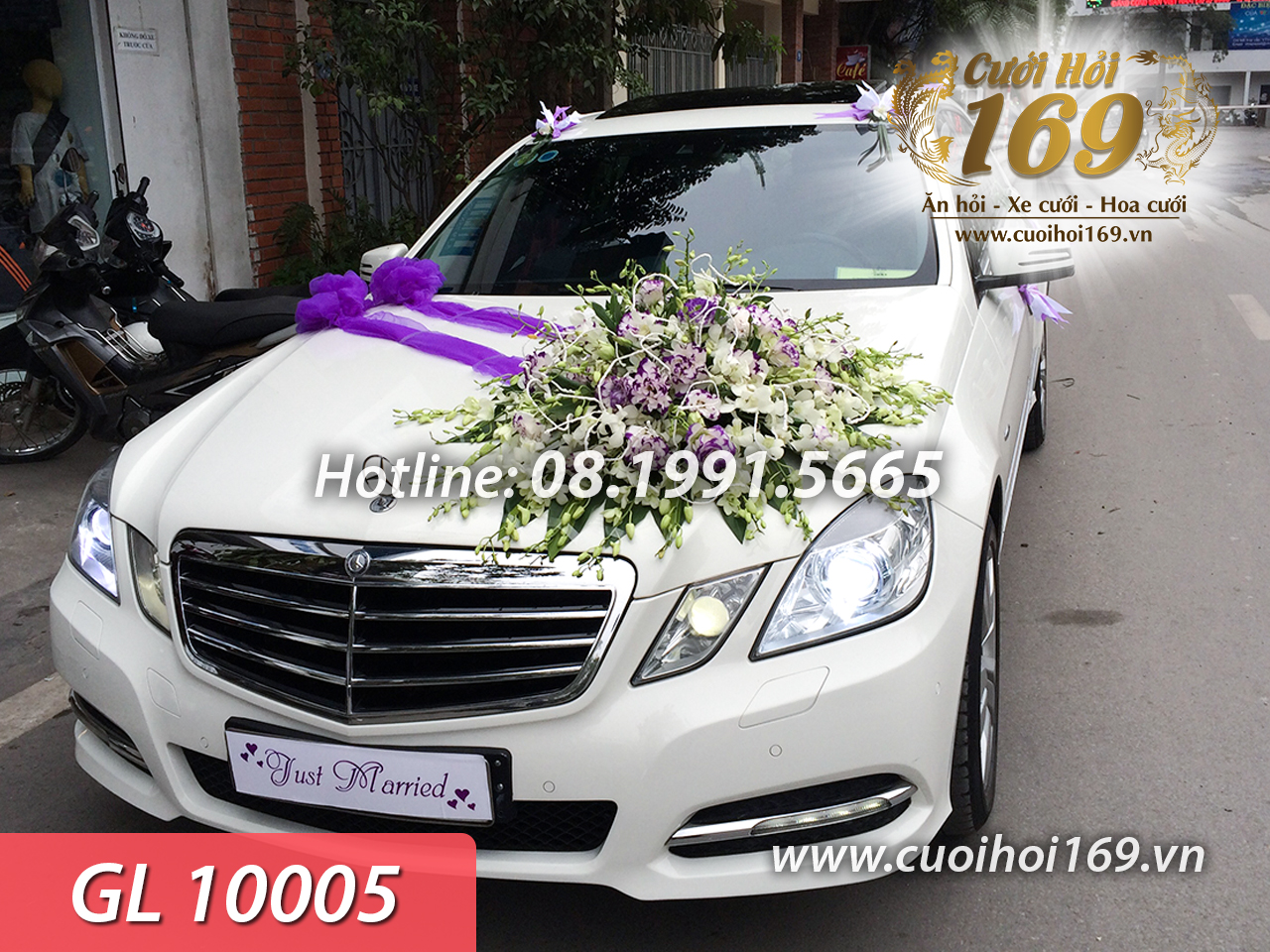 GL 10005 copy