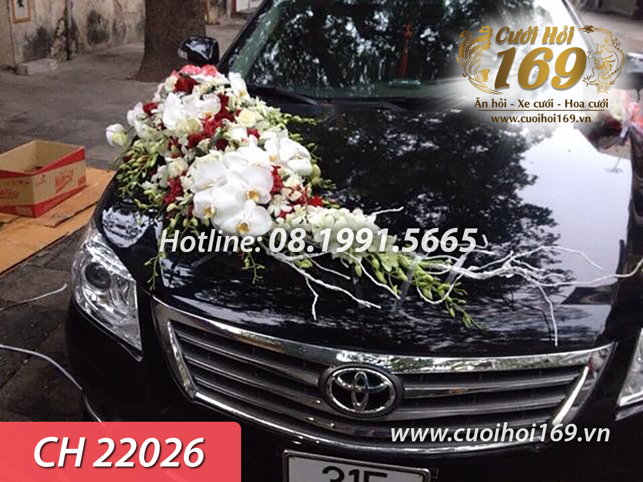CH 22026 copy
