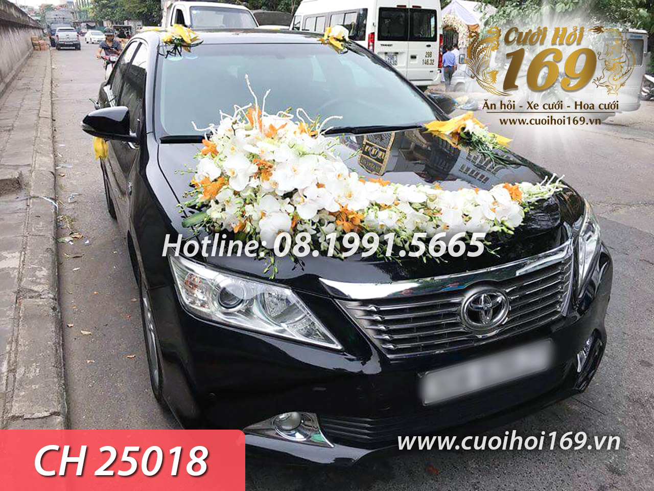 CH 25018 copy