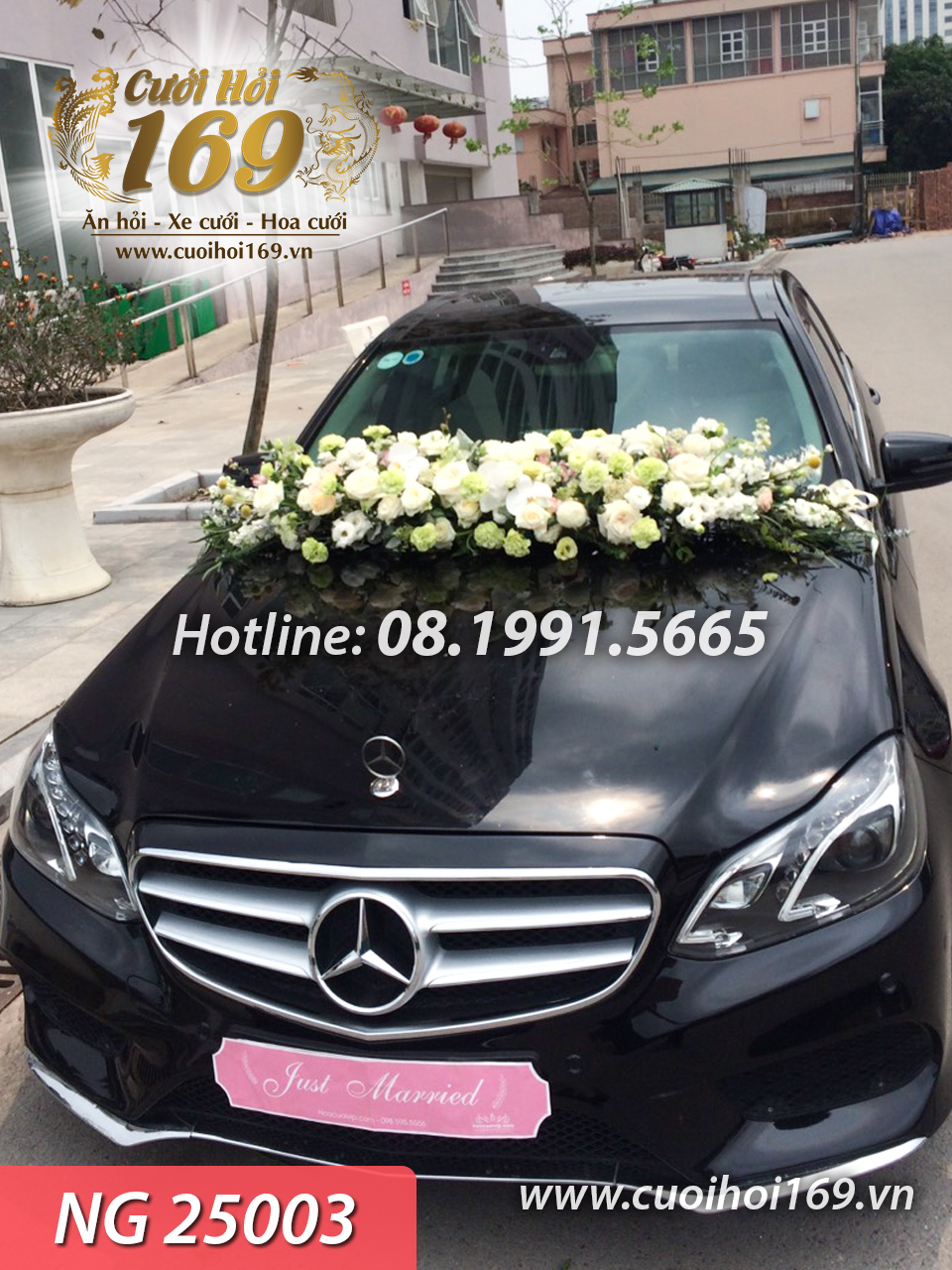 NG 25003 copy