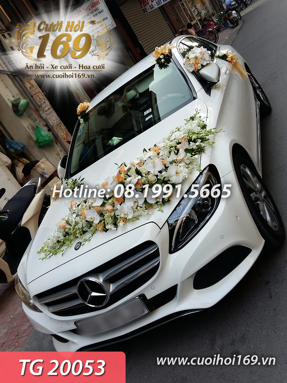 TG 20053 copy