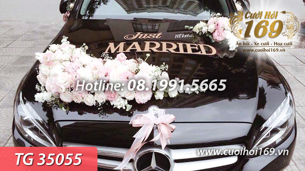 TG 35055 copy