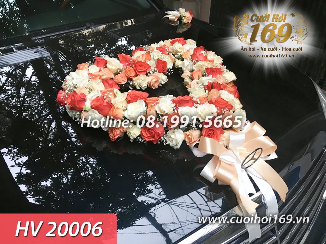 HV 20006 copy