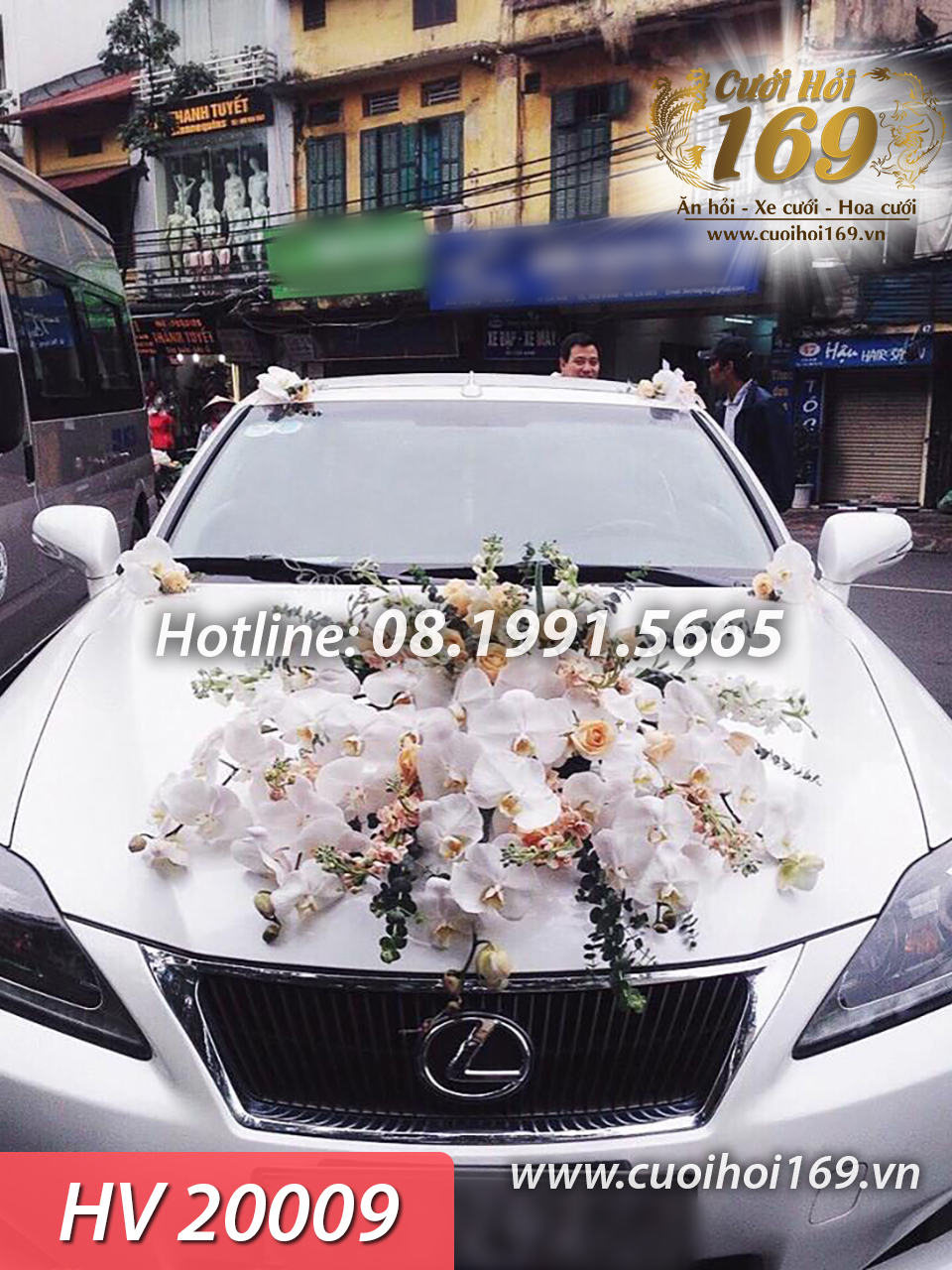 HV 20009 copy