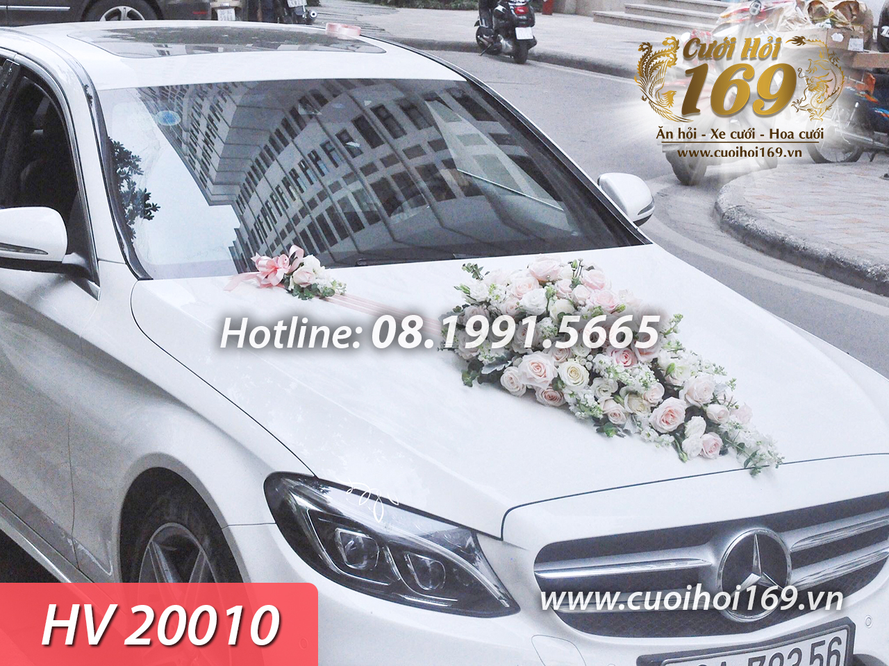 HV 20010 copy