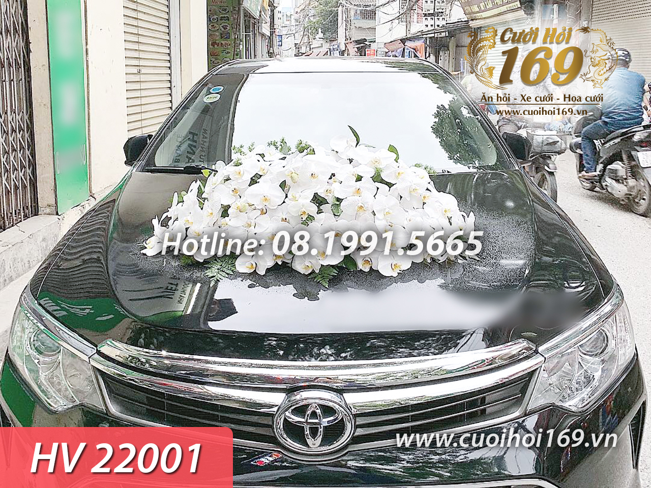 HV 22001 copy
